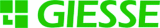 GIESSE